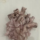 Six Years of Trying Not to Die