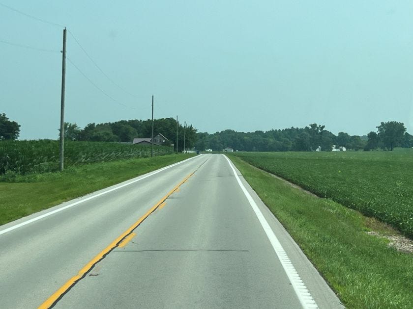 Two lane highway between a green corn field and a green bean field.