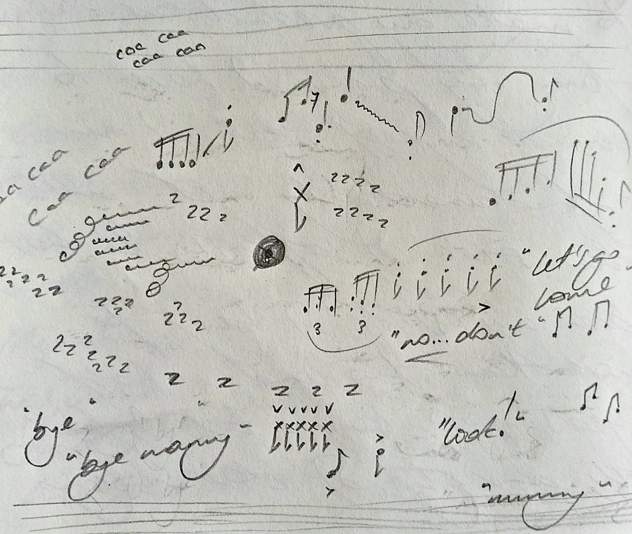 Sound map of a bluebell woodland in spring