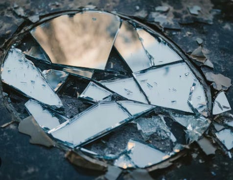 Self-Consciousness: The Mirror System & Mirror Disaster