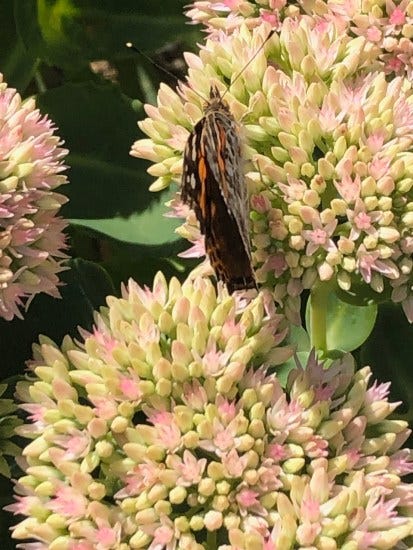 The Wonder of Incarnation: Joy Is Here The Wonder of Incarnation: Joy Is Here