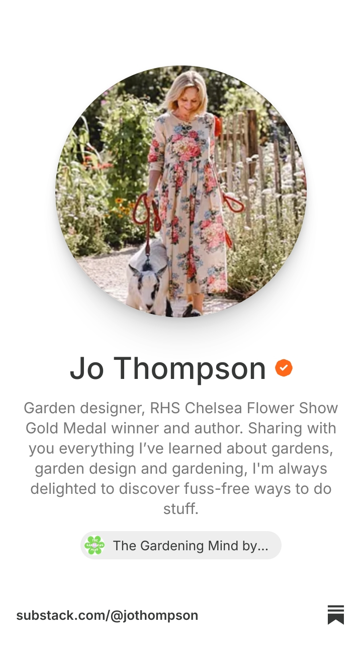 Jo Thompson | Substack