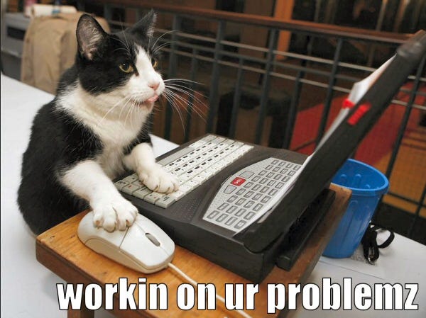 Katze vor Computer mit Maus