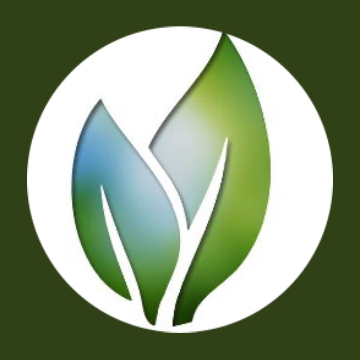 Hopewell ~ Hope4Health logo