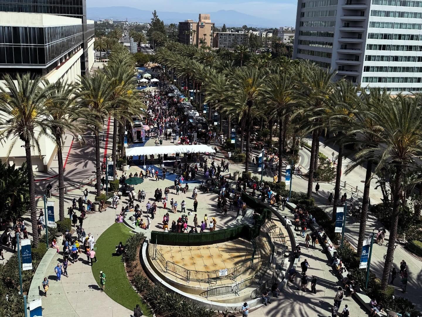 May be an image of crowd