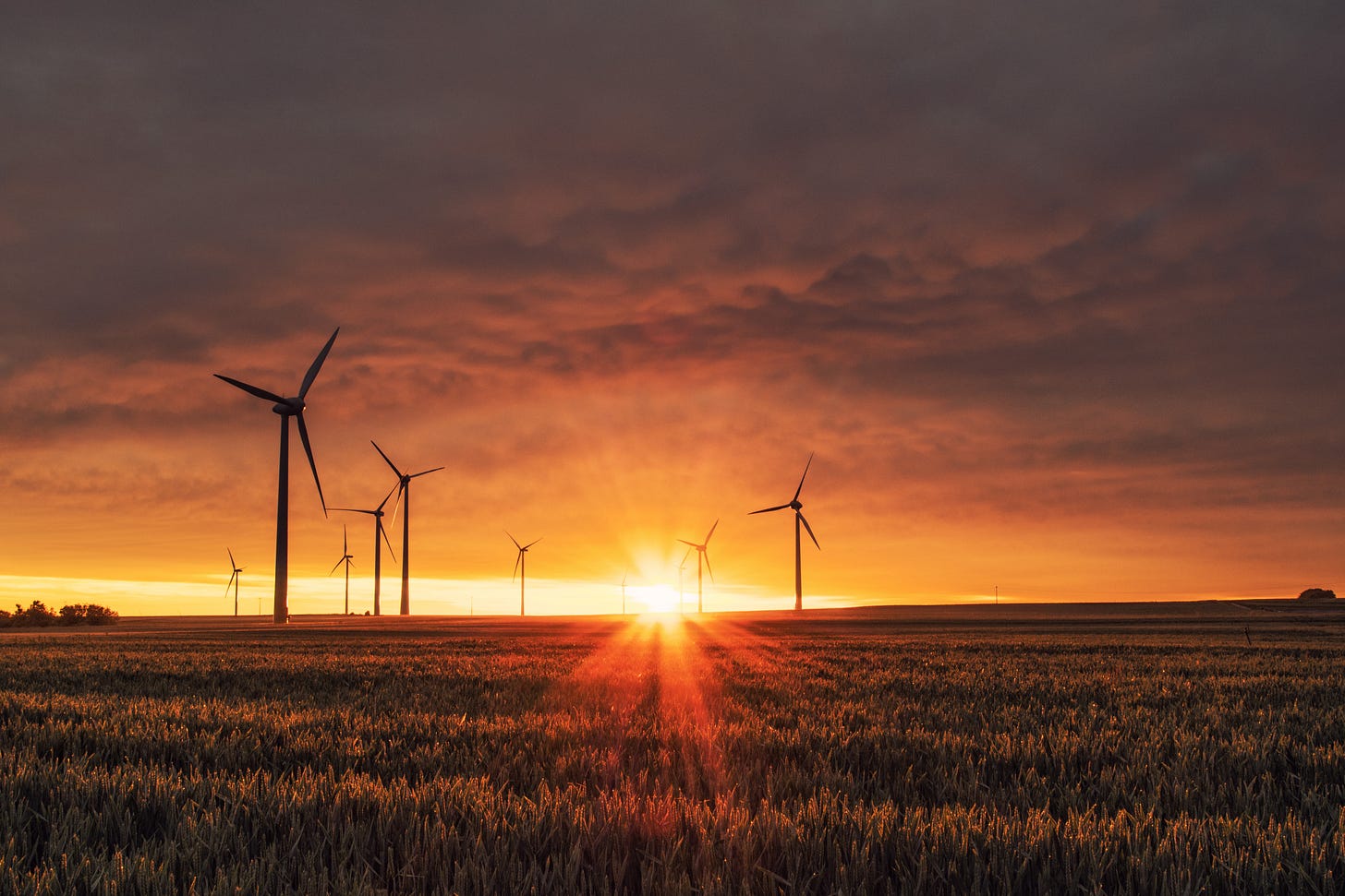 windmills on grass field at golden hour