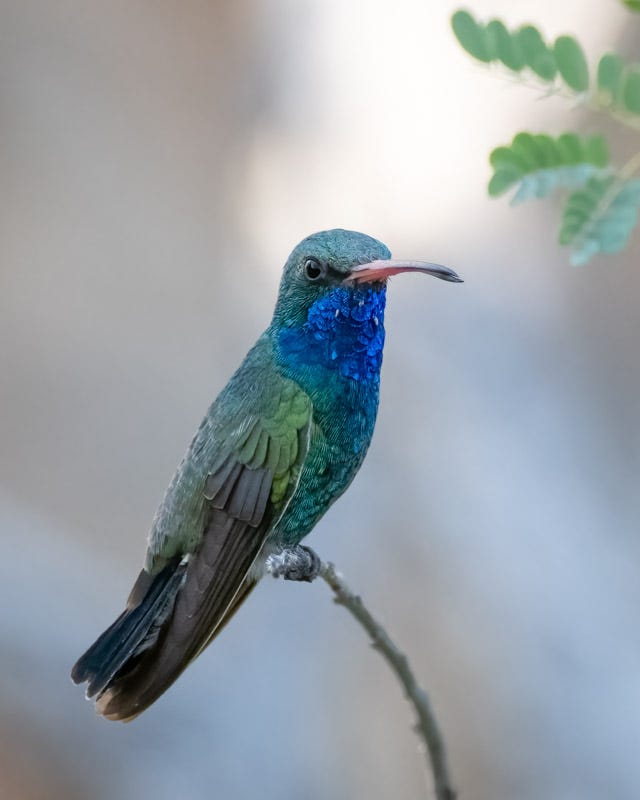 20241009-MBY-95-Edit.jpg Oct 7.jpg 20241009-MBY-95-Edit.jpg Oct 7.jpg