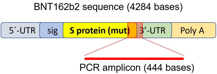 An external file that holds a picture, illustration, etc.
Object name is cimb-44-00073-g001.jpg