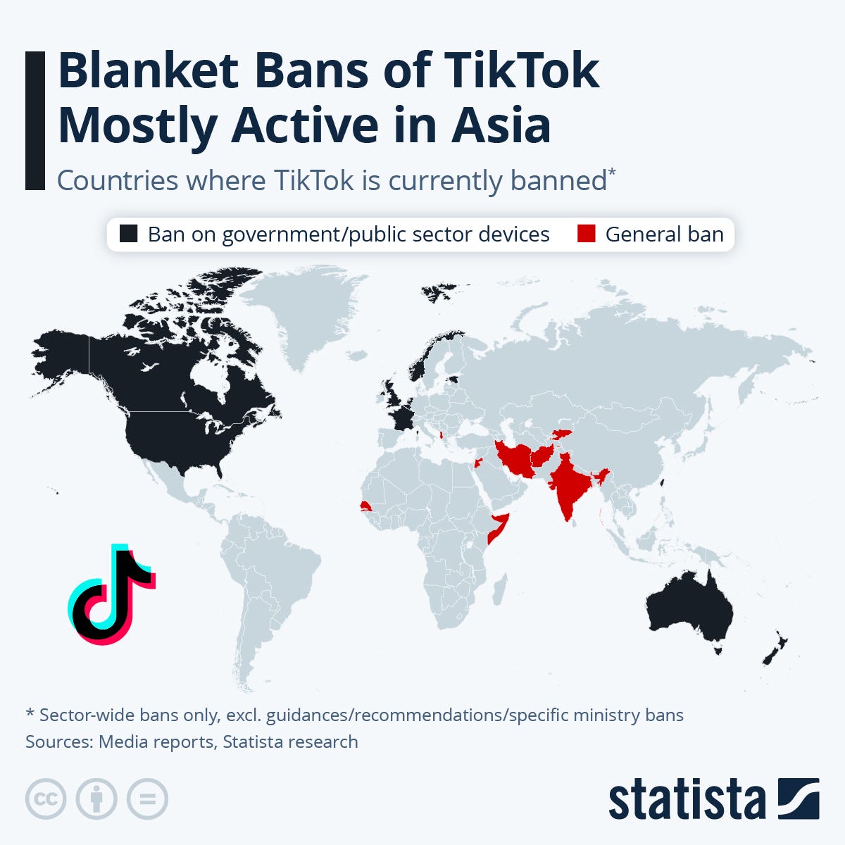 Infographic: TikTok Bans: Security Concerns or Sinophobia? | Statista Infographic: TikTok Bans: Security Concerns or Sinophobia? | Statista
