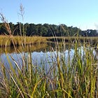 Environmental field experiences and teacher mentoring among new WJCC grants