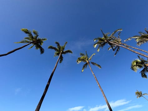iPhone 18 Pro Max ultra-wide and telephoto cameras