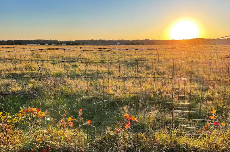 Flat Point Farm, Martha's Vineyard