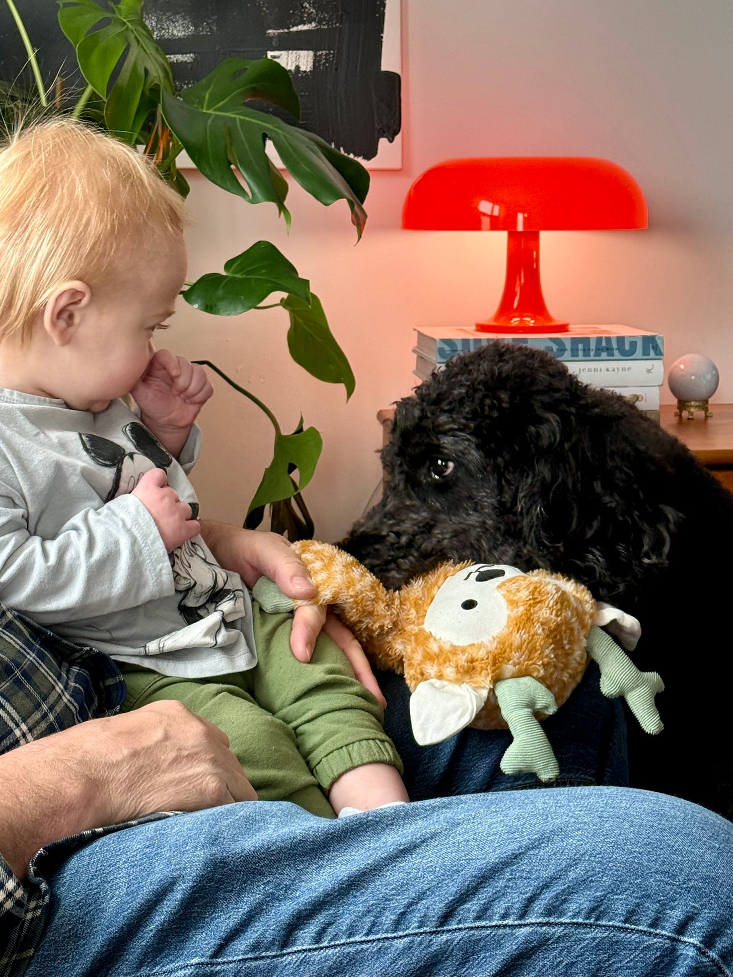 (No one loves Felix more than our golden doodle, Tilly. She is extremely protective of him.) 