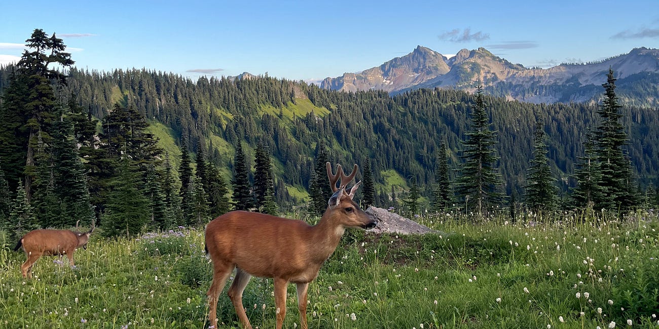 Travel notes: Washington