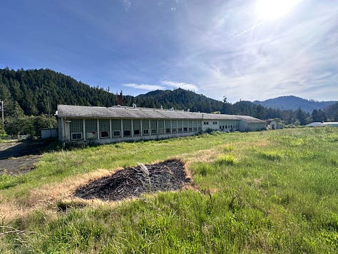 scenes of decay from a new form ghost town.