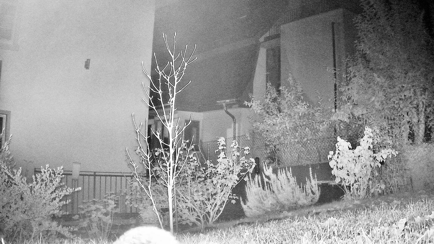 Sascha Büttner Leia Fotografie