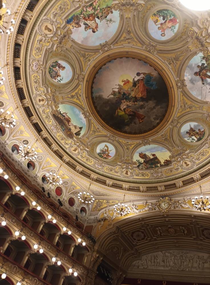 No photo description available.