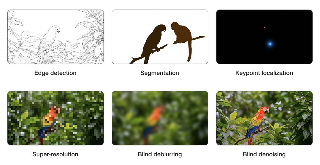 Diagram showing six computer vision techniques with example parrot images: Edge detection (line drawing of parrots and tropical plants), Segmentation (silhouette of two parrots on branch), Keypoint localization (black background with bright blue point), Super-resolution (pixelated parrot image), Blind deblurring (blurred parrot image), Blind denoising (clear photo of red, yellow and blue parrot in green foliage)