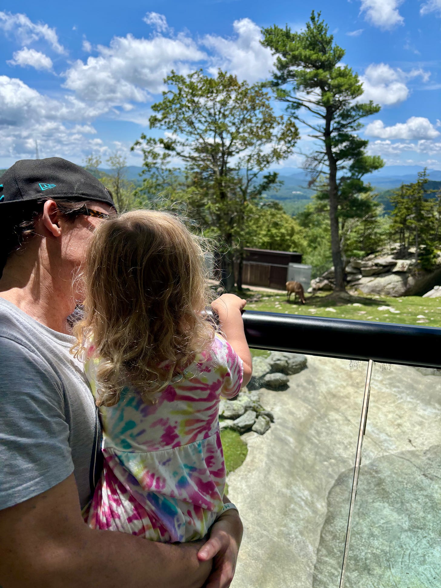 a father and daughter Seeing an elk at the Grandfather Mountain animal sanctuary a father and daughter Seeing an elk at the Grandfather Mountain animal sanctuary