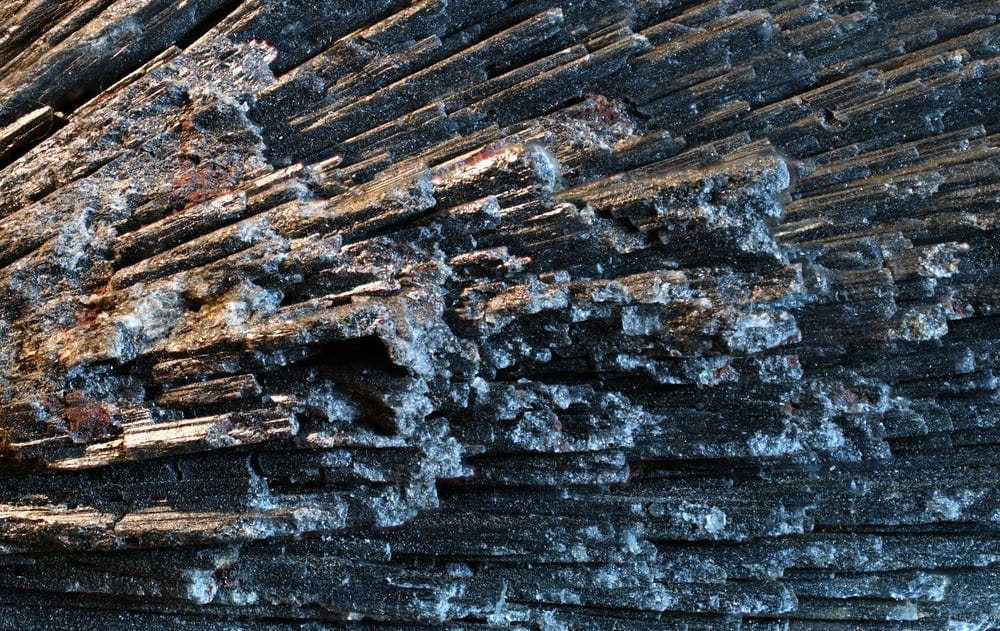 The Future of Antimony: Rising Prices, Supply Chain Risks, and Demand  Growth • Carbon Credits