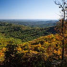 The Pulse of Autumn: Bartram Trail Day 2