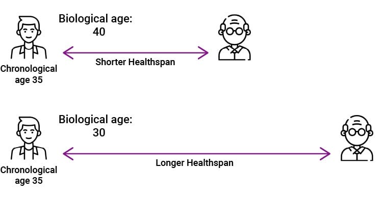 Biological age diagnostics to transform how we see aging - Longevity Technology Reports Biological age diagnostics to transform how we see aging - Longevity Technology Reports