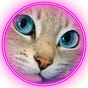 MissClearfoot's avatar