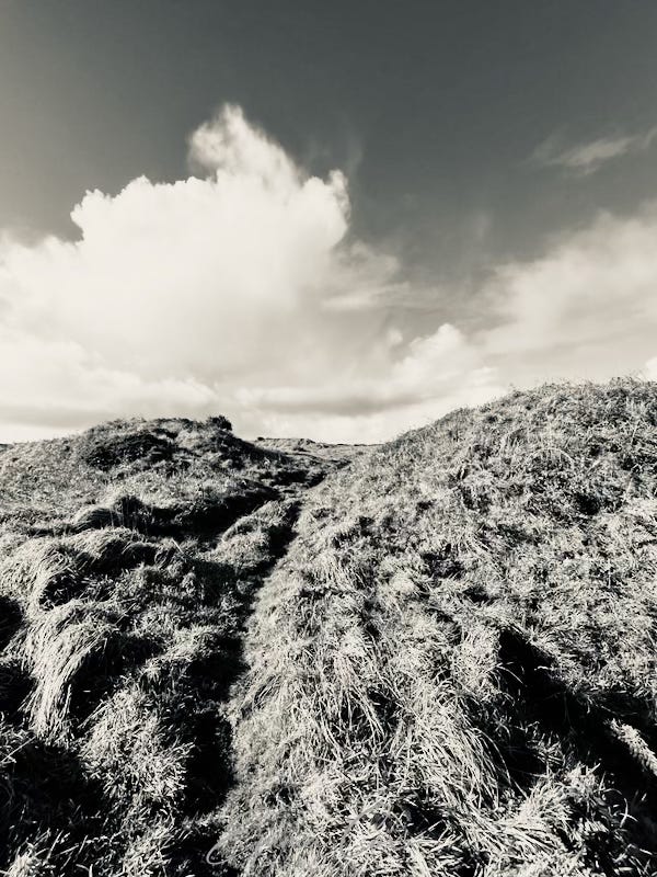 a black and white photograph of an Bronze Age enclosure with ditches and earthworks still visible
