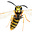 Yellowjacket's avatar