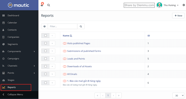 Reports Mautic