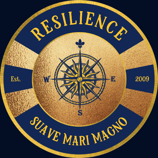 \ud83c\udff4‍☠️ The Resilience 