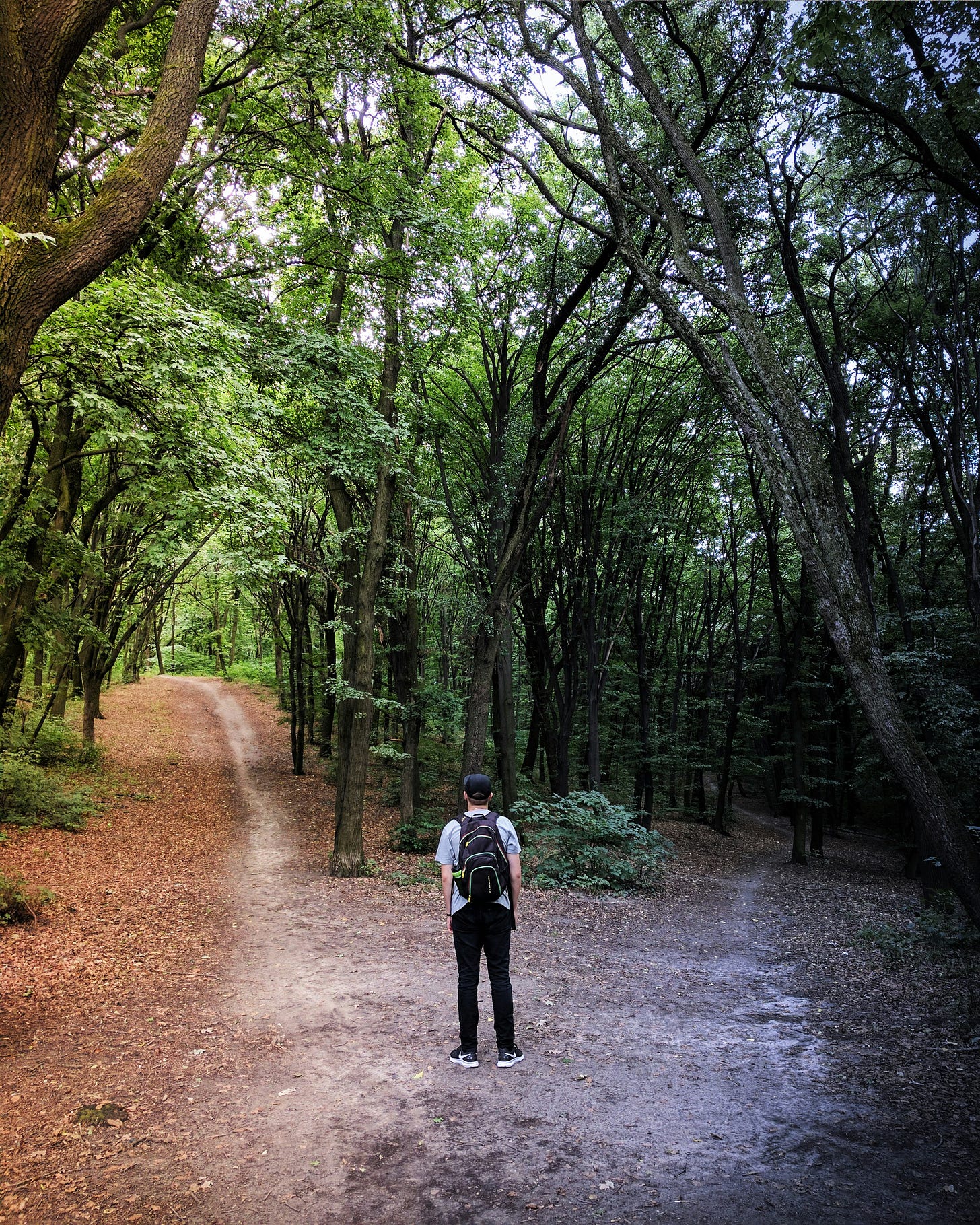 a man looking at two paths. On the left sunny and open, on the right dark and mysterious.