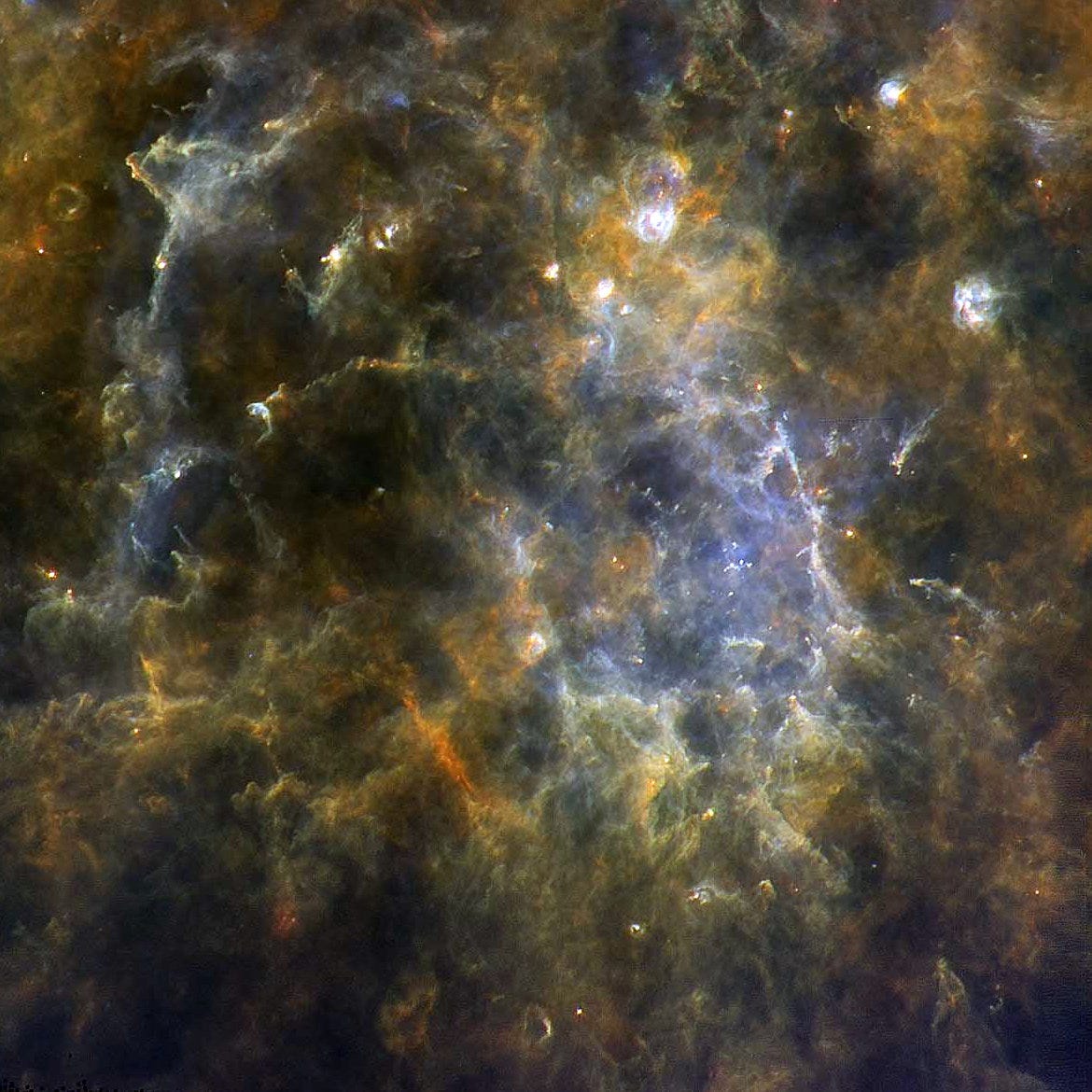 Image: Star-forming filaments