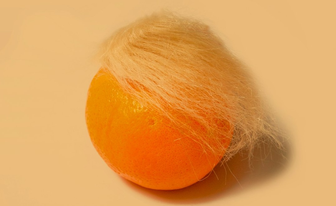 orange fruit on white surface orange fruit on white surface