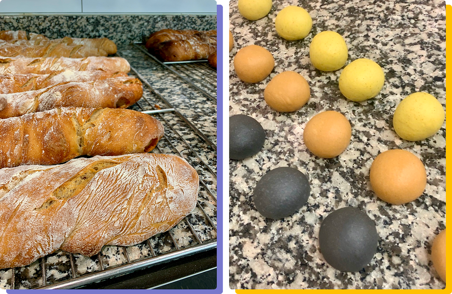 Photos of pain rustique and tricolor burger bun dough