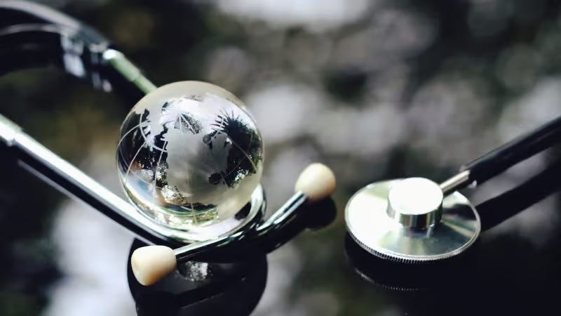 Connecting the Dots between the WHO and UN Security Council Reform