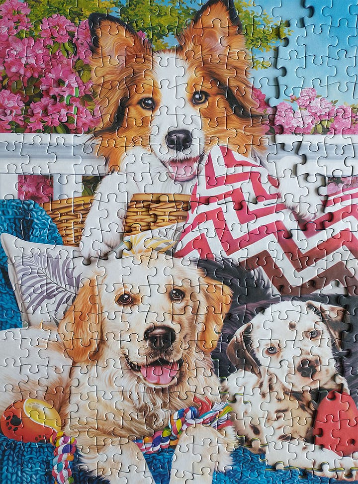 Trefl Doggy Friendship and Cubic Gradient Puzzle Pics