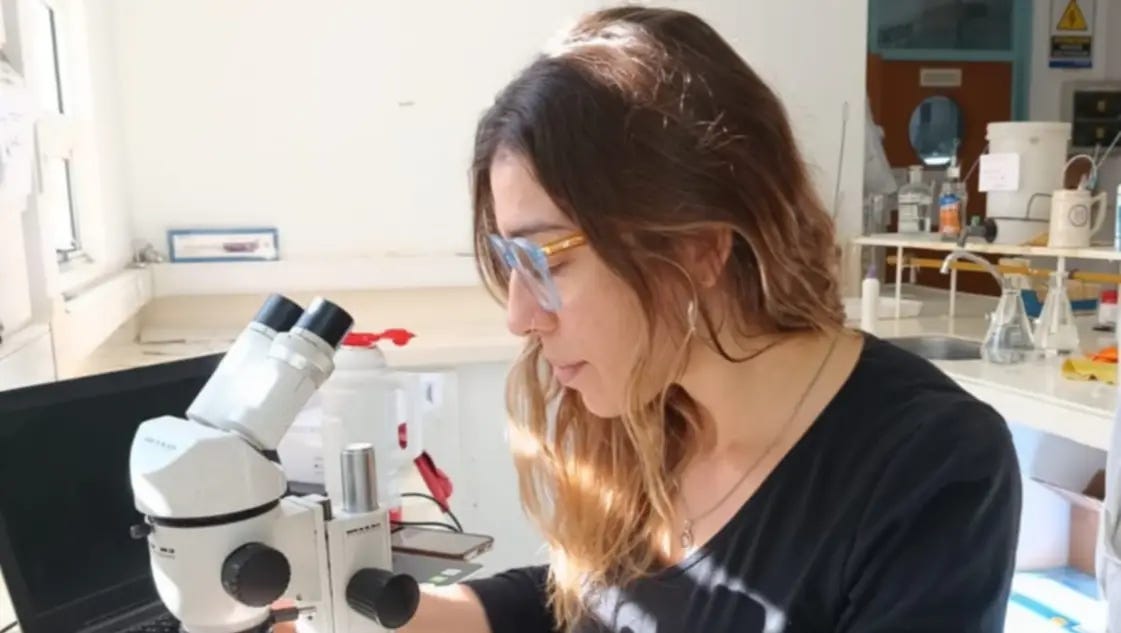 Científica bahiense impulsa el uso de la entomología forense en causas penales