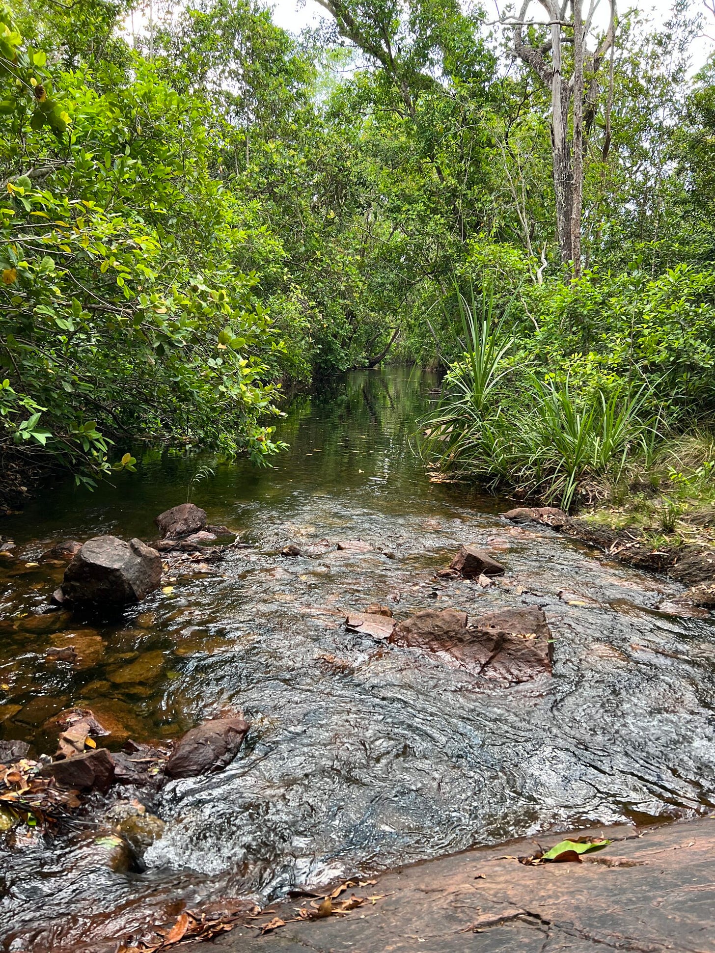 Litchfield National Park in Australien Litchfield National Park in Australien