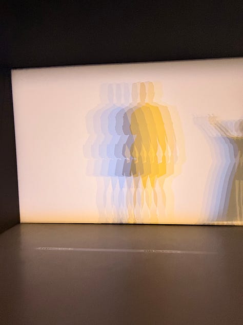 Olafur Eliasson exhibitions