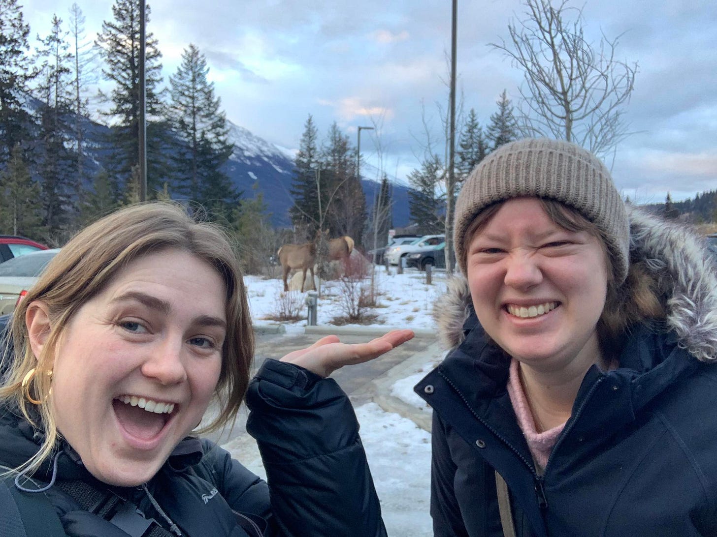 No description available.