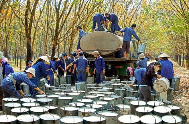 Lãnh đạo Cao su Phước Hoà (PHR) đăng ký mua vào cổ phiếu sau nhịp giảm 14,9% | Tin nhanh chứng khoán Lãnh đạo Cao su Phước Hoà (PHR) đăng ký mua vào cổ phiếu sau nhịp giảm 14,9% | Tin nhanh chứng khoán
