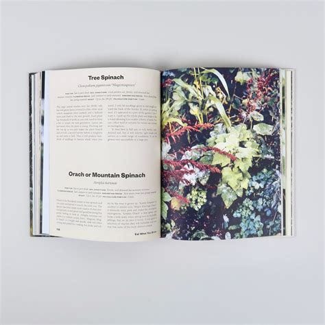 4 book images, one of the book cover, three of different sections inside the book, with text, photos ad illustrations