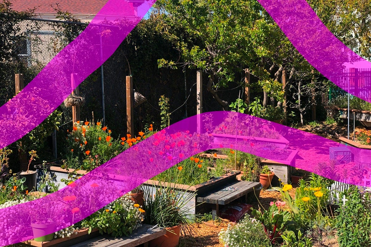 A community garden with planters and orange flowers. A community garden with planters and orange flowers.