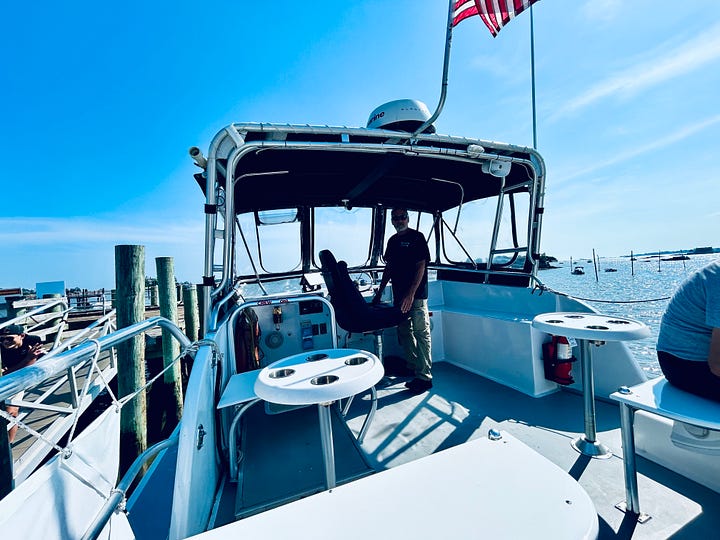 cruise, water, ships, dock