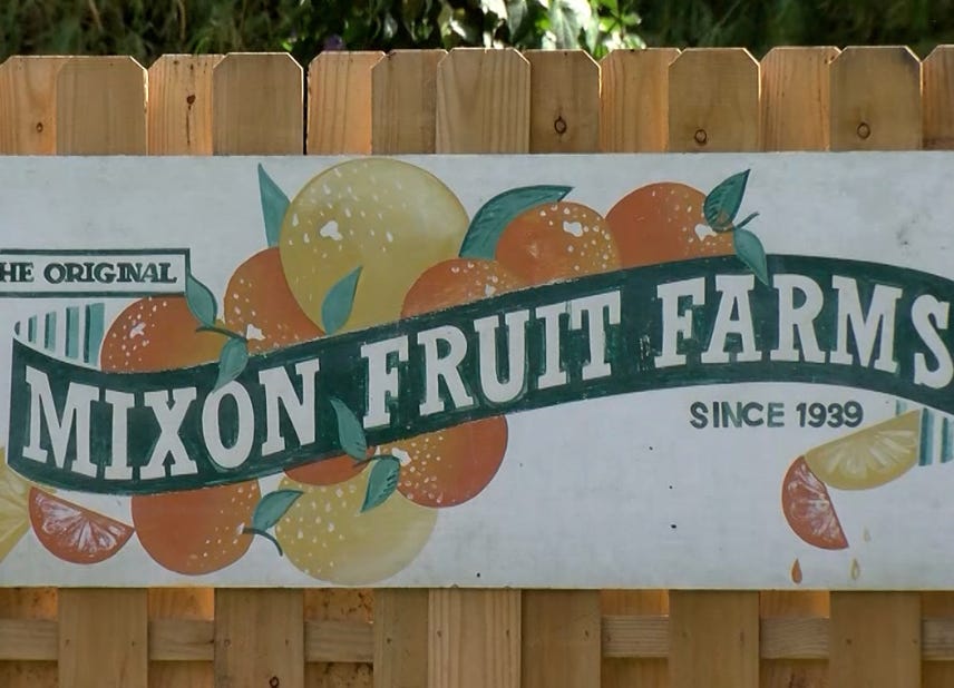 Mixon Farms Park Opens in Bradenton with Inaugural Farmers Market and Plans for Future Community Space