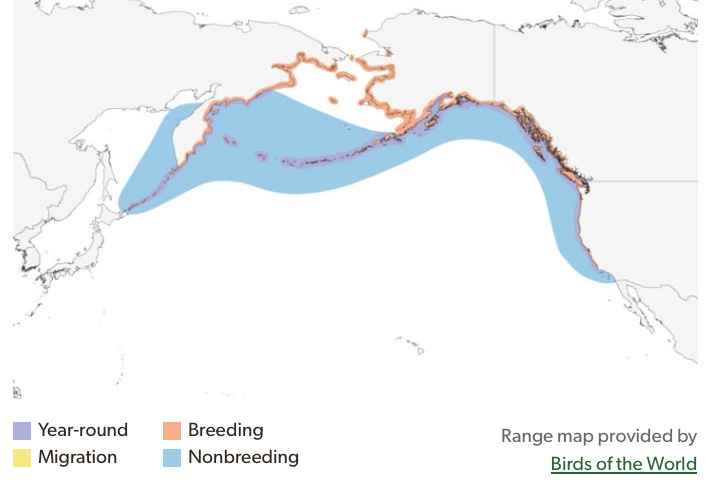 Screenshot 2025-06-15 at 11.00.50 AM.png Screenshot 2025-06-15 at 11.00.50 AM.png