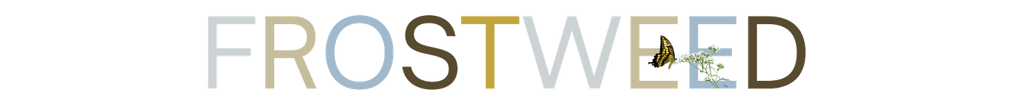 organic modern cottagecore	back to school cozy home	growing where you’re planted natural texture interiors	real-life home styling tips	wildflower wisdom