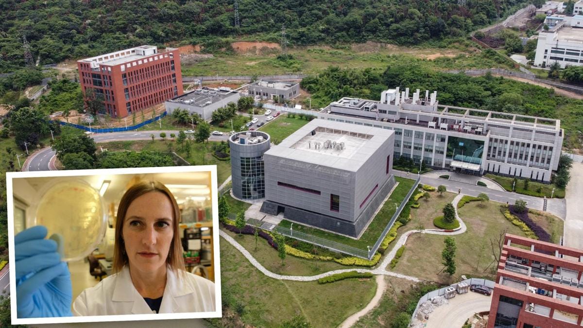 Coronavirus crisis: Aussie scientist Danielle Anderson speaks out about  Wuhan lab and her time working there | The West Australian