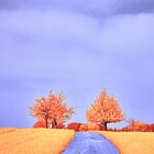 Simple Plans Are Harder